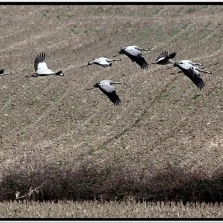 Meuble De Tourisme Le Gilliard