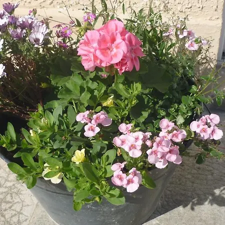 Vakantiehuis Meuble De Tourisme Le Gilliard